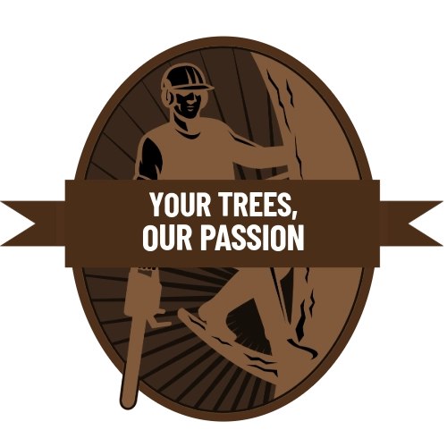 your trees our passion